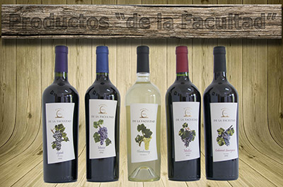 vinos-varietales